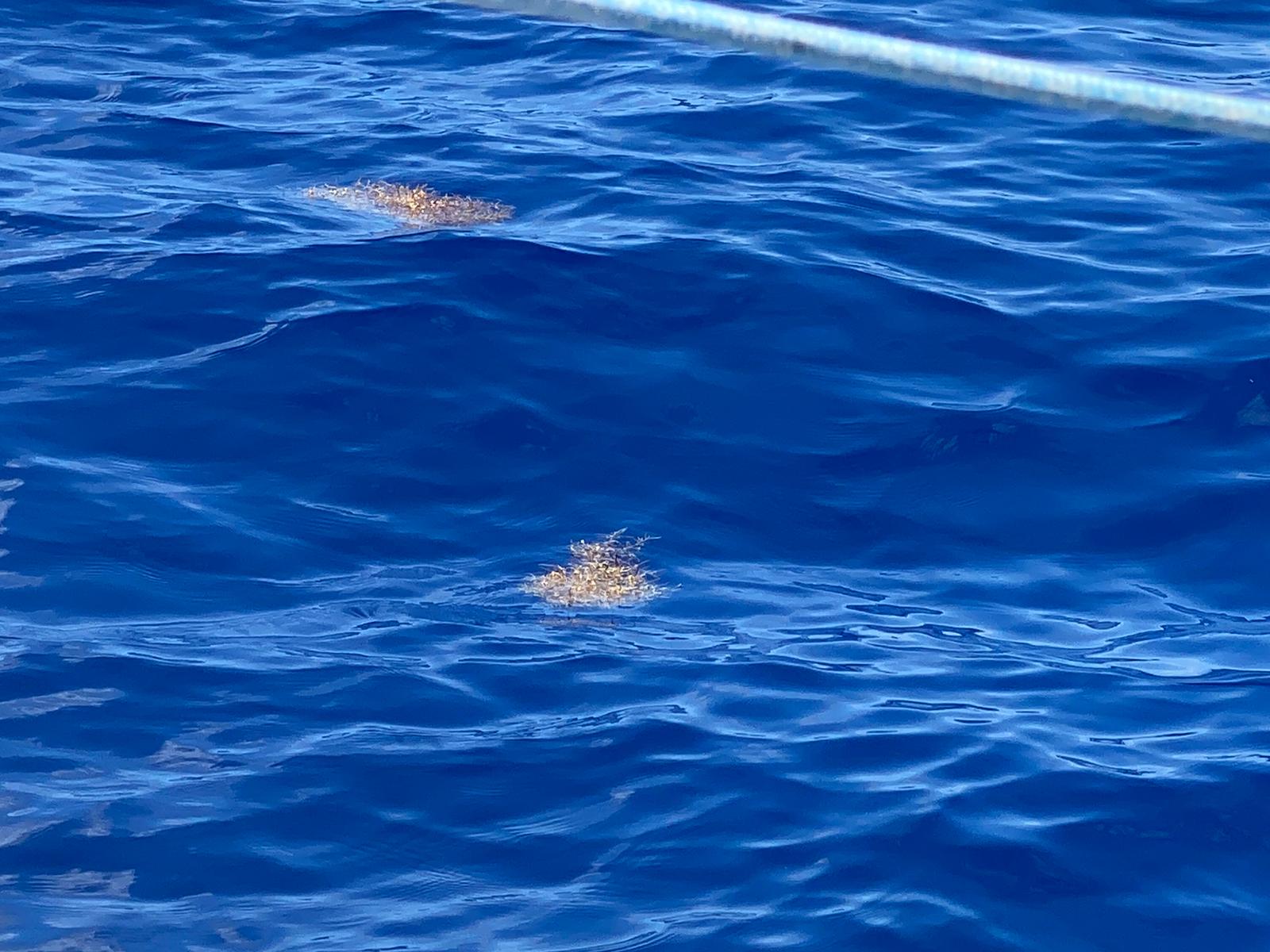 Problem Solving: Flossing the Keel